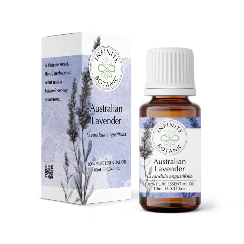 Australian lavender essential oil - 100% pure