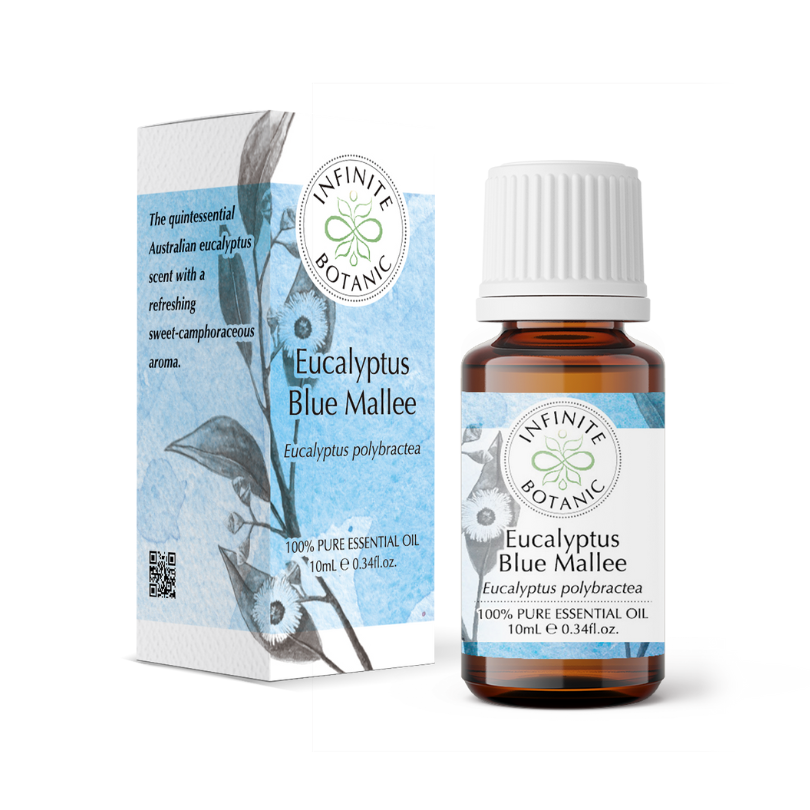 Eucalyptus blue mallee essential oil - 100% pure