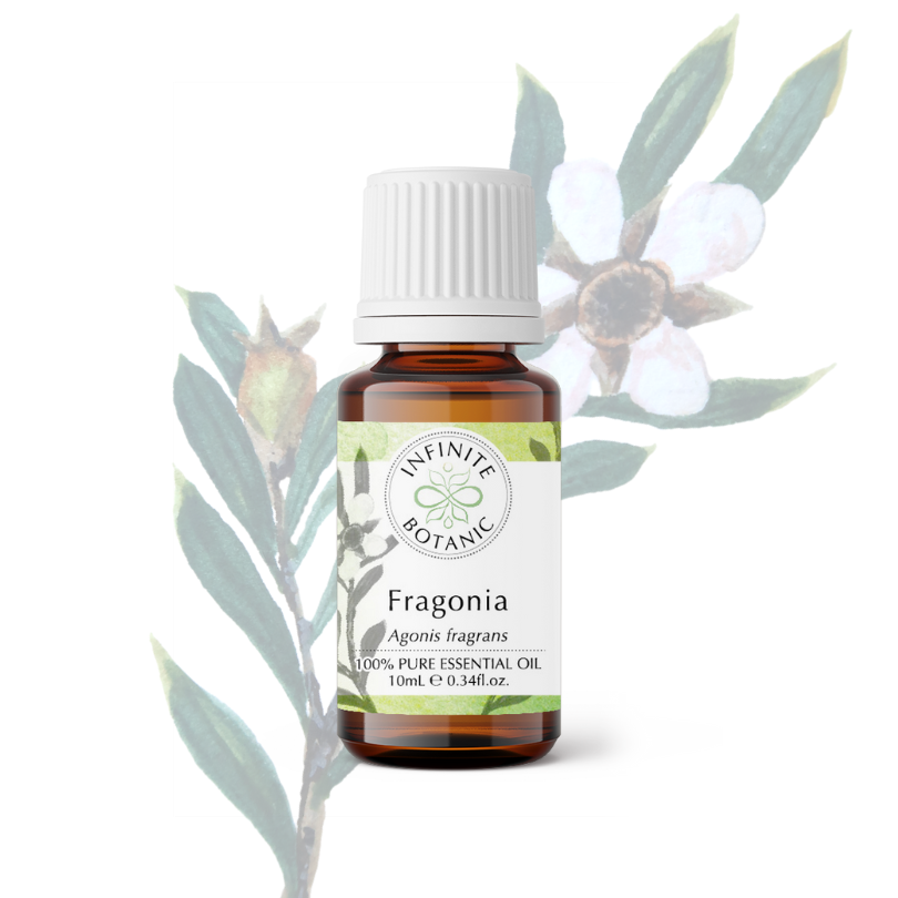 Fragonia essential oil - 100% pure