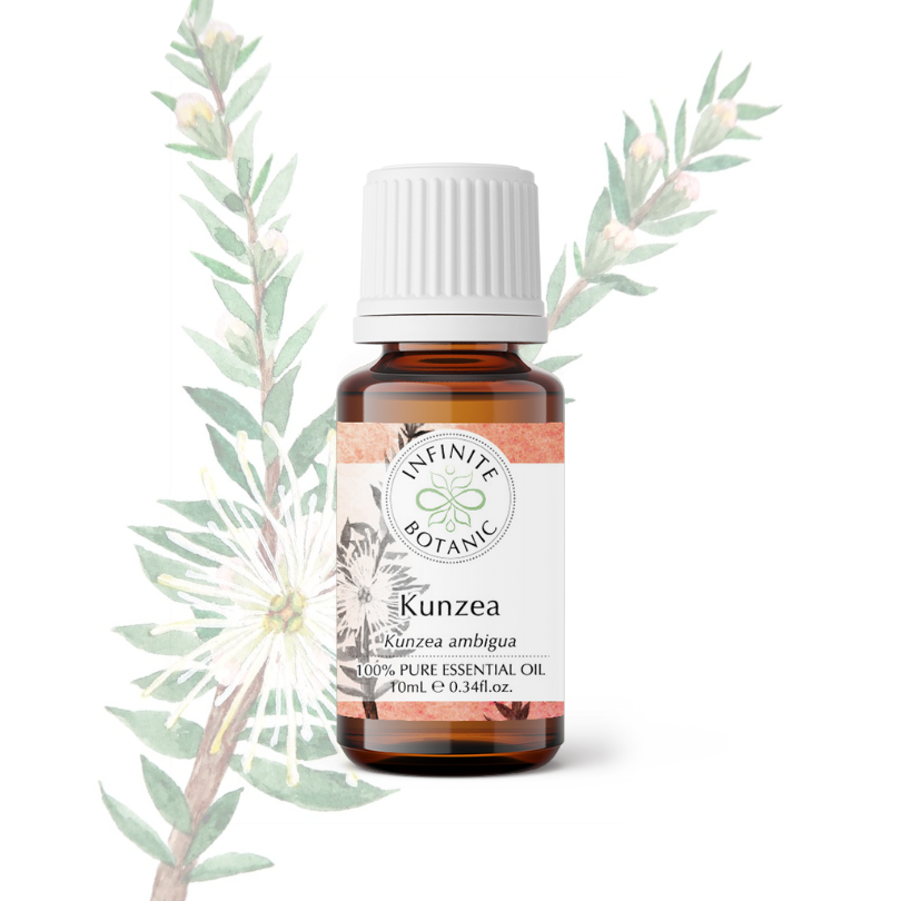 Kunzea essential oil - 100% pure